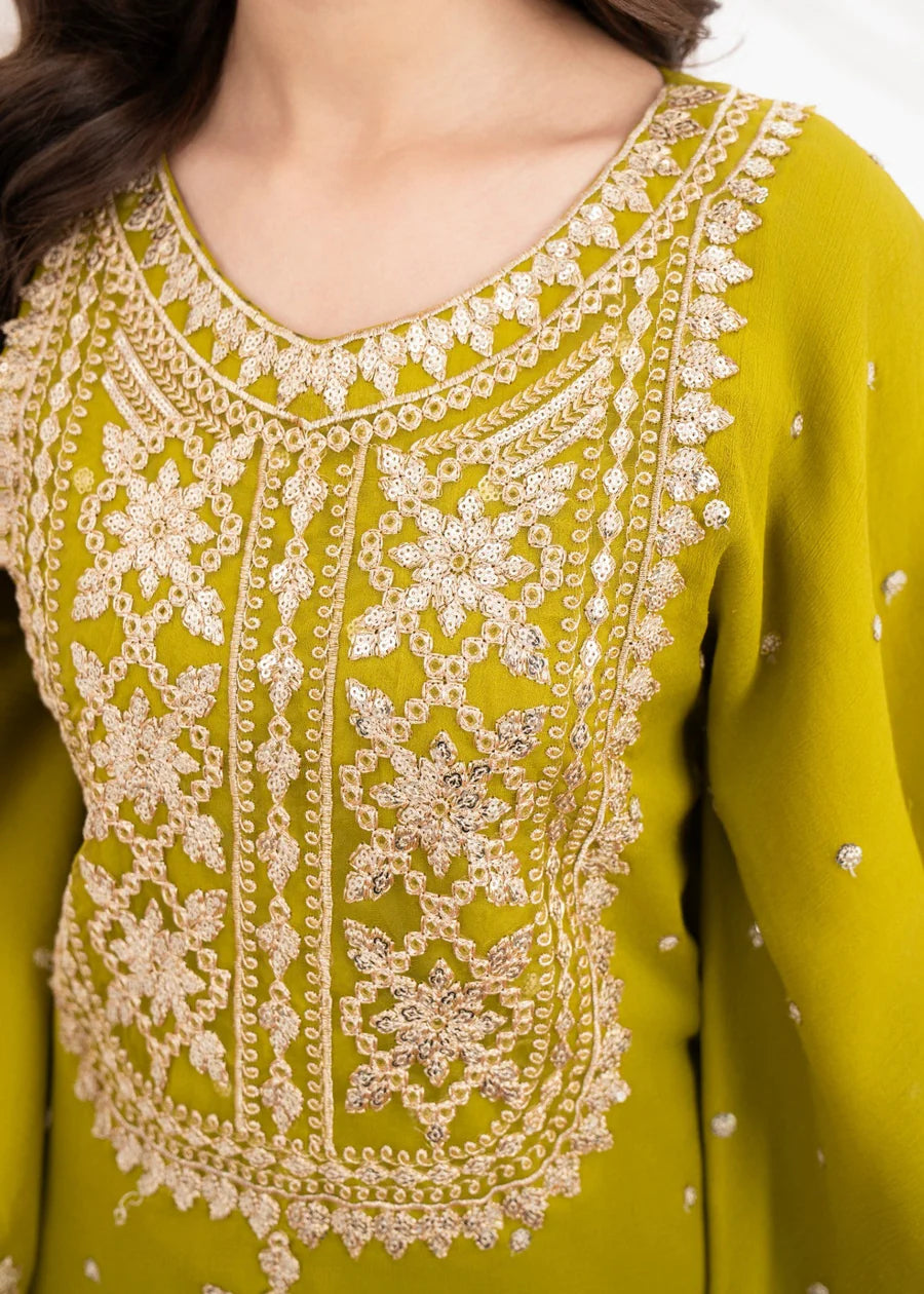 Shanaya 2 piece ready to wear chiffon Kaftan - womenwear outfit