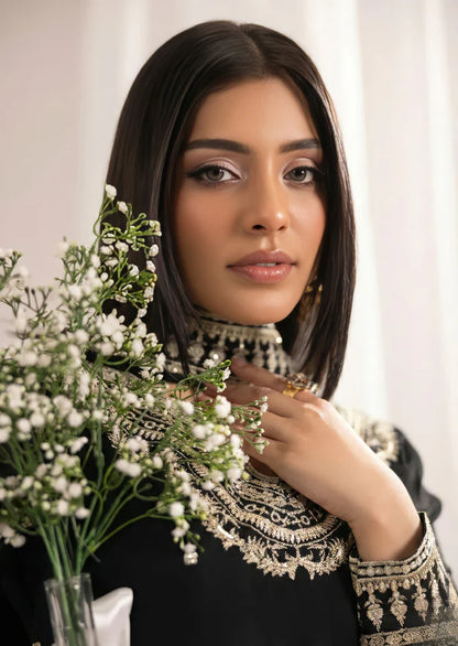 NABIHA Luxury classy style Chiffon 3 piece ready to wear traditional embroidered asian suit stylish womenswear outfit