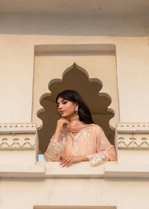 ALEENA Luxury classy style Chiffon 3 piece ready to wear traditional embroidered asian suit stylish womenswear outfit (Watch video)