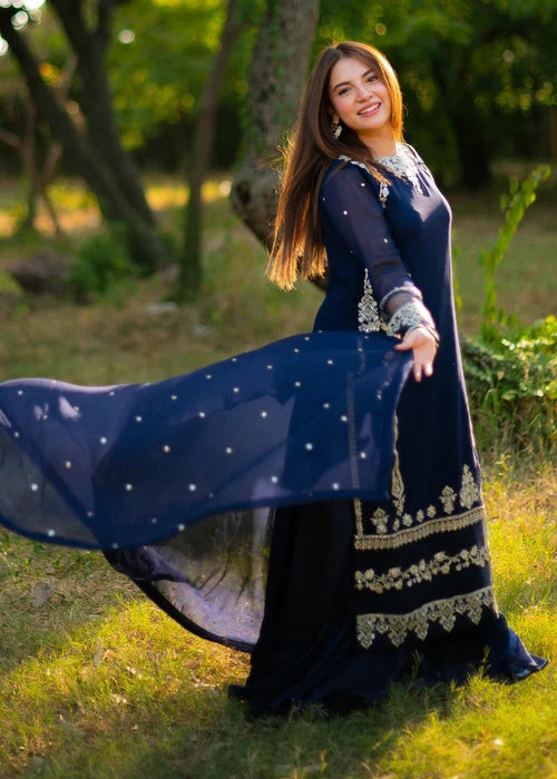 Noor-e-Rang Embroidered Blue Chiffon Long Shirt Sharara Suit Ready to Wear Pakistani Festive Party Wear Women's Outfit