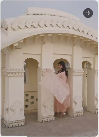 ALEENA Luxury classy style Chiffon 3 piece ready to wear traditional embroidered asian suit stylish womenswear outfit (Watch video)